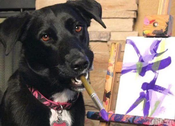 Собака-художник