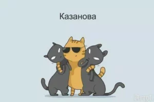 Типы котов