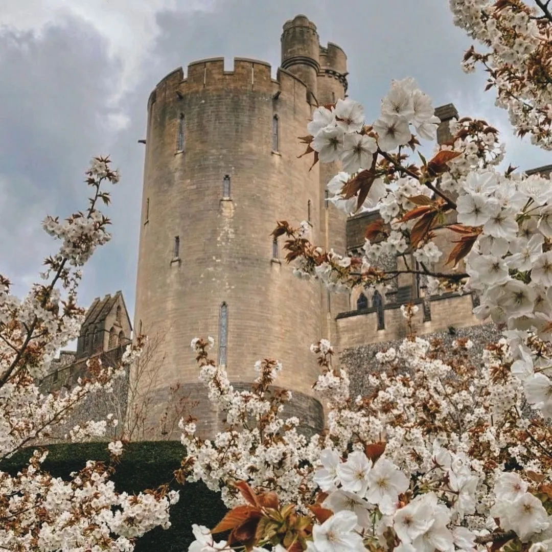 Цветущие сады замка Арундел